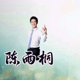 陈雨桐